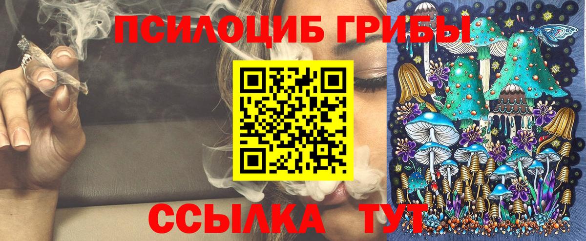 Галлюциногенные грибы мицелий  Вход с VPN  Пенза  Псилоцибиновые грибы Psilocybe 